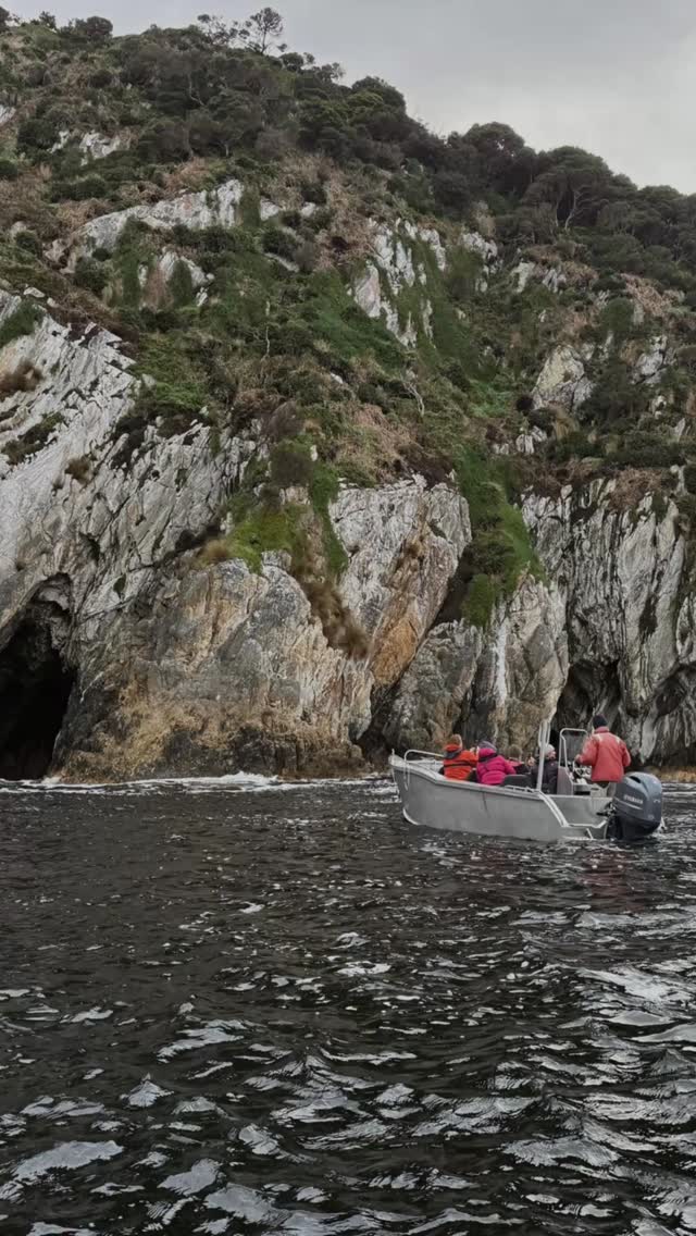 A side of Australia many travellers never see 🌿
Tasmania feels different from the moment you arrive. Historic towns, moody coastlines, and ancient forest create a destination that’s best experienced slowly.
This is only the beginning of what we discovered... more of Tasmania’s wild beauty still to come 👀
#JourneySouthTravel #Tasmania #SlowTravel #LuxuryTravel #TravelTasmania #AustraliaTravel #NatureEscape #WildTasmania #BespokeTravel #TravelInStyle
