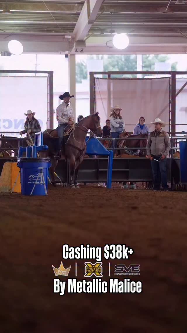 @royalcrownroping OKC Champions in both the 4 & Under as well as the 6 & Under Tie Down.
@shanehanchey + Metallic Malice daughter Lean With Rosie cashed out over $38,000 for owners Jake & Lauren Stewart.
Metallic Malice owned by 70 Ranch is BOOKED FULL for 2026!!
#horsesofinstagram #ropehorse #horseofinsta #horseoftheday marepower