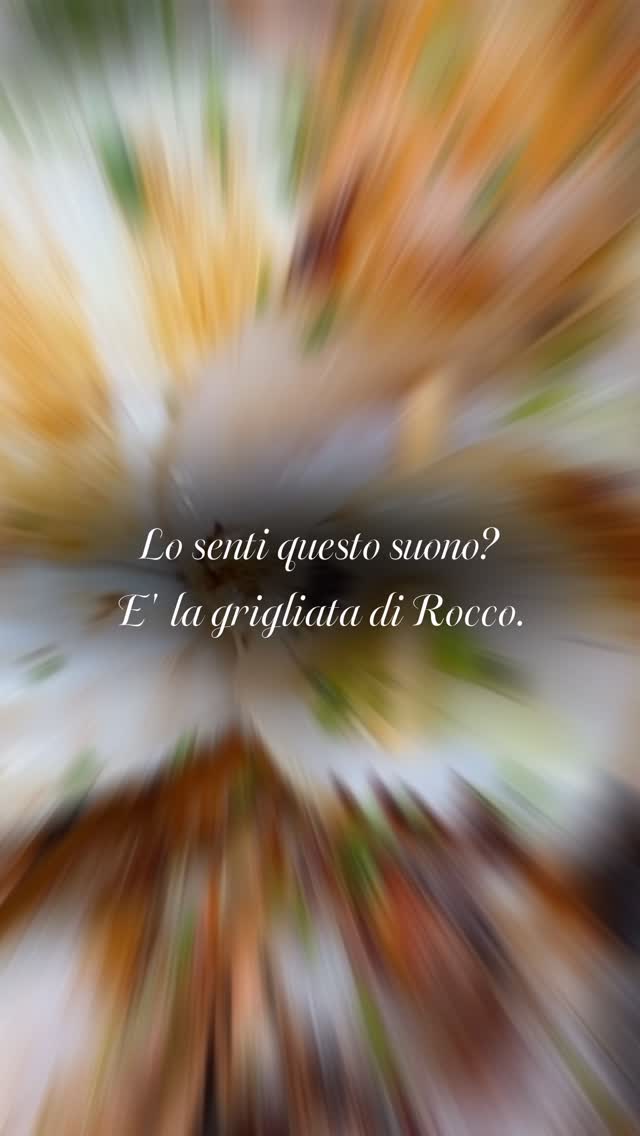 Rocco non fa grandi discorsi.
Fa la grigliata.
Branzino · gamberoni · pescatrice · seppia · calamari · salmone · verdure · e frutta grigliata.
Tutto in una piastra. Tutto fatto bene.
28€ · calice di vino, acqua e caffè inclusi
Dal mercoledì alla domenica sera
📍 Da Rocco · San Macario (VA)
📞 333 9918226
Chi porti con te?