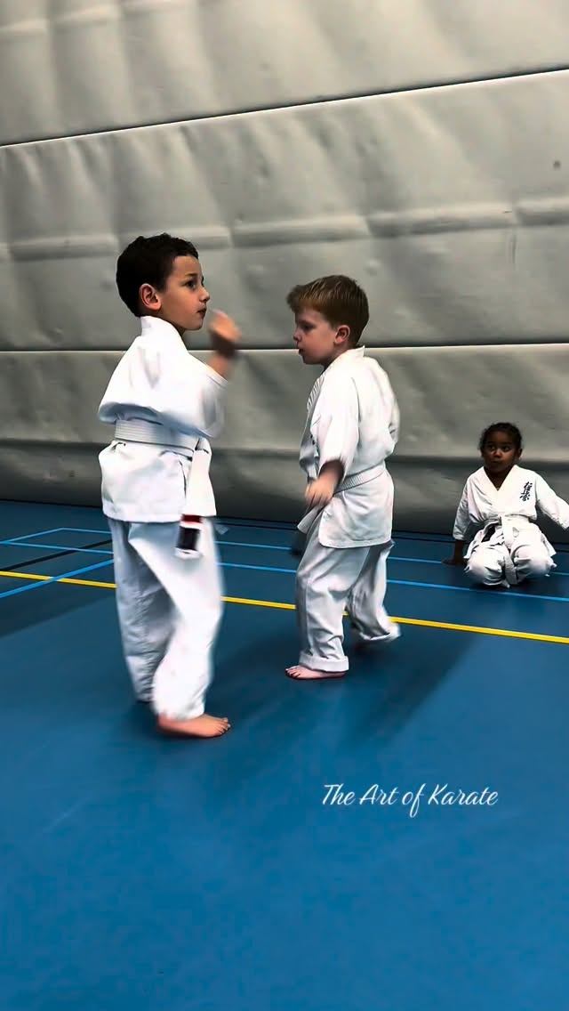 The most beautiful Art #kyokushin #karate