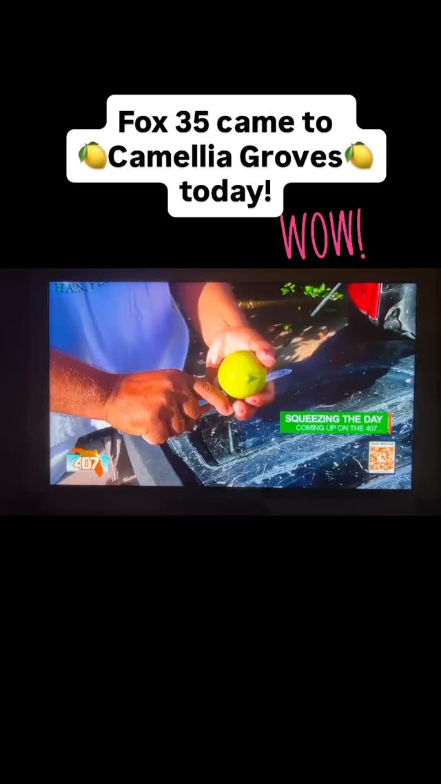Camelliagroves.com