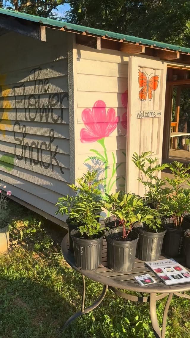 Flower Shack Wednesday offerings! Self-serve, open till 7pm
📍 345 Kimzey Rd Mills River, NC