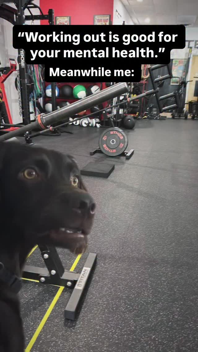 đ¨ PSA: Your Brain LOVES Exercise! đ¨ Even if youâre out here at the gym looking like youâre solving a Rubikâs cube blindfolded đ§Šđ
, your brain is doing big things behind the scenes. Hereâs why:
1ď¸âŁ Exercise = Brain Fuel đ§ â˝
When you move, your heart pumps more blood to your brain. Translation? Your brain gets a VIP delivery of oxygen and nutrients! Think of it like feeding your brain its favorite snack. đâ¨
Science Says: Regular exercise improves brain function AND memory (https://pubmed.ncbi.nlm.nih.gov/9257407).
2ď¸âŁ Endorphins = Instant Mood Boost đđ
Ever feel unstoppable after a workout? Thatâs your brain high on endorphins, the âfeel-goodâ chemicals. Bye-bye stress, hello happy vibes! đĽł
đ¤Science Says: Exercise boosts endorphins and fights the grumps
(https://pubmed.ncbi.nlm.nih.gov/9257407/) This isnât NEW âźď¸NEWS as this study was all the way back to 1997!
3ď¸âŁ Your Brain Gets JACKED, Too đŞđ§
Yep, workouts donât just build bicepsâthey build brains. đď¸ââď¸ Regular movement creates new brain connections and helps you stay sharp, even when youâre old enough to call instagram, âthe interwebs.â đ¤
Science Says: Movement protects your brain against aging (https://pubmed.ncbi.nlm.nih.gov/38595617).
So, even if youâre in the gym looking like a lost puppy đś trying to figure out a kettlebell, KEEP GOING! Your brain is throwing a party in your honor. đ
đŹ DM us âMOMENTUMâ to learn how we can help you crush your fitness and brain health goals! Letâs get you moving, laughing, and thriving. đ
FOLLOW IS FOR MORE FITNESS TIPS AND FACTS (Yes, we like to bust myths about fitness.)
#BrainsAndBiceps #GainsAndBrains #HappySweat #IMIN