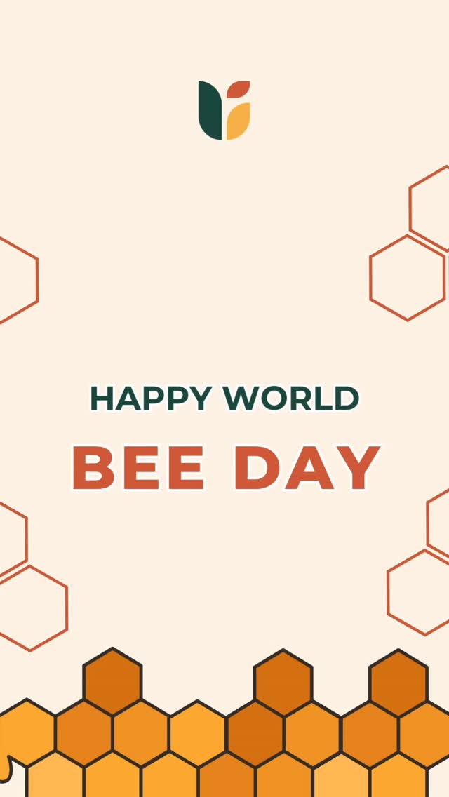 Happy World Bee Day - May 20, 2026
Bees are among nature’s most beautiful and intelligent creatures, tiny pollinators that quietly sustain ecosystems, biodiversity, and the food we eat every day.
Today, bee populations are declining. One such phenomenon observed is the Colony Collapse Disorder - a phenomenon where worker bees suddenly disappear from their hives, leaving entire colonies, unable to survive.
On this World Bee Day, let’s commit to protecting pollinators, preserving biodiversity, and building a more sustainable relationship with nature.
#WorldBeeDay #SaveTheBees #ClimateChange #Biodiversity #UpadhyayaFoundation