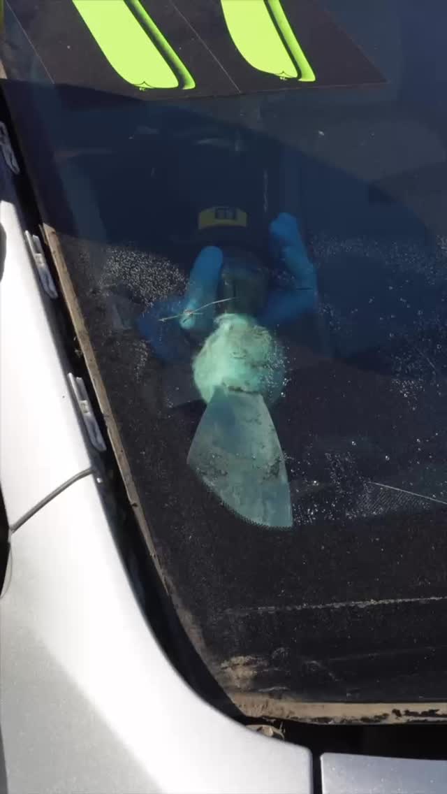 A little crack can quickly turn into a big expense.
Changes in temperature, road vibration, and daily driving can cause small damage to spread and weaken your windshield over time.
Protect your investment early with a professional replacement. Contact Windshield Replacement LLC today to schedule your service.
#windshieldreplacement #autoglass #driversafety #carcare #njservices