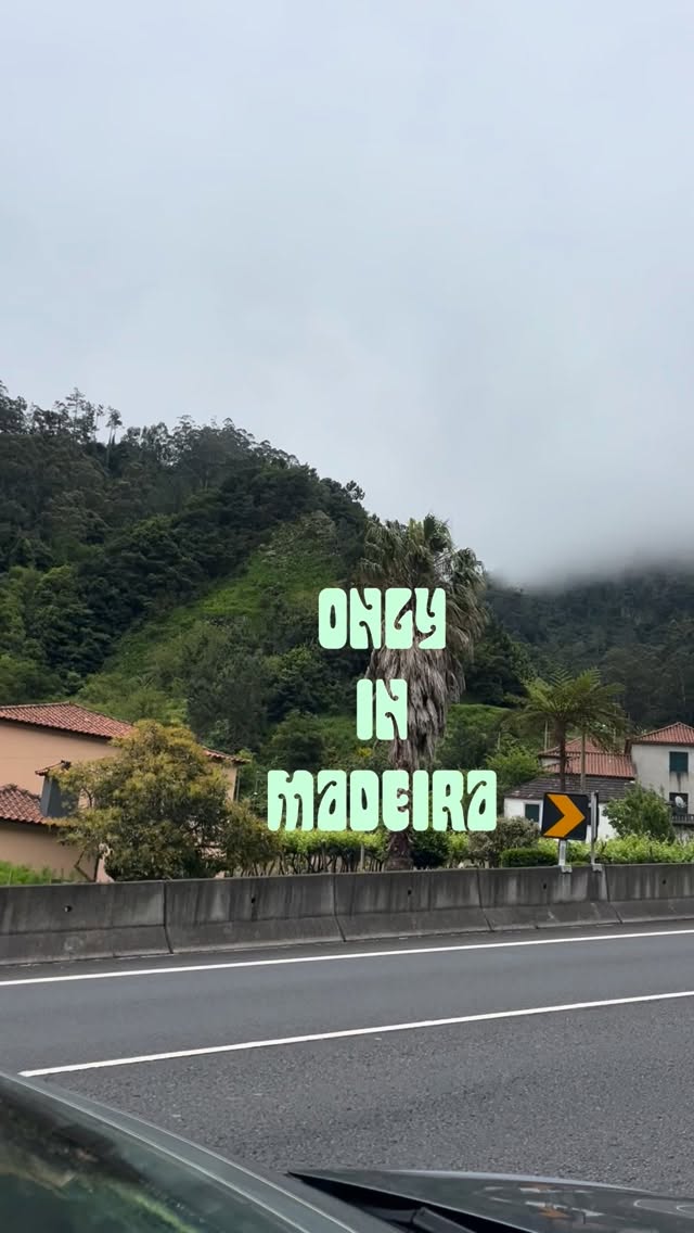 Quantum leapin’ in Madeira
~
☁️>>>🌞