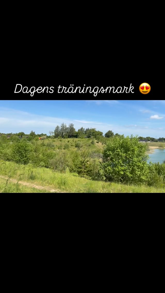 Här tränar vi idag. Ska bli kul! #teamolsen #teamolsenforthewin #levadrömmen #hundträning #gundogtraining