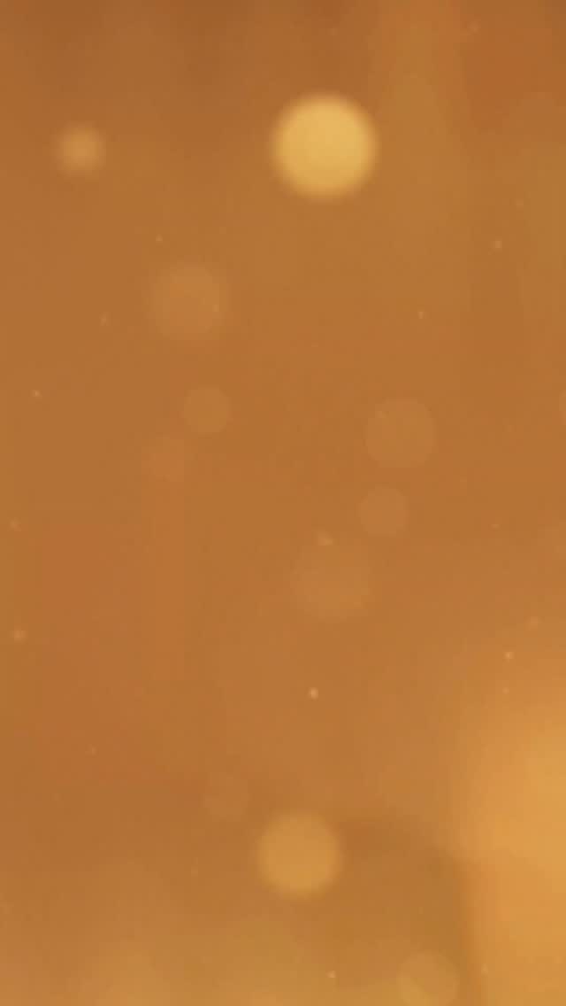 This week's Top 10 Pics got to:
10. @emilia_rose522 (📷 @lucasportellicreations)
9. @kleopatra_vargas_ (📷 Max Luna)
8. @emmadancer21 (📷 @inmotionphotostudio)
7. @iam.viviennerose (📷 @sagaj)
6. @baylenavery (📷 @thebutterflyphotography)
5. @dominicdigravio (📷 @tullfoto)
4. @journeykayofficial (📷 @thebutterflyphotography)
3. @official_giavanna.lyerly (📷 @sullivan.blue.co)
2. @atalialyrical (📷 @skribblevisionmedia)
1. @nubiasqueendom (📷 @creativesoulphoto)