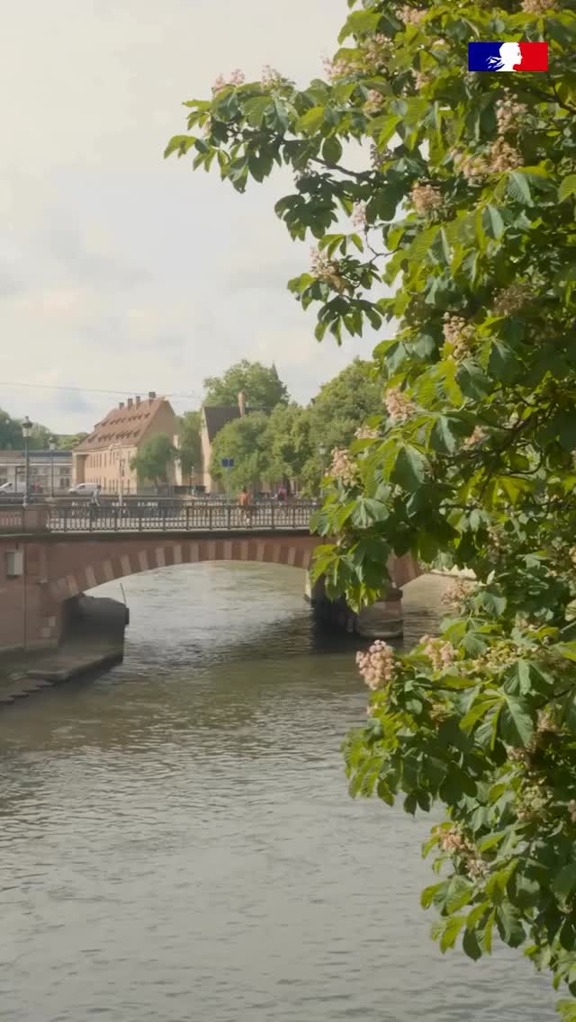 @culture_gouv ✨The European Museum Night is this Saturday, May 23, 2026!
All the programming can be found on nuitdesmusees.fr but we offer you here some ideas for Strasbourg outings!
From nightfall until midnight, many establishments will open their doors free of charge in France and Europe. Illuminated tours, fun courses, screenings and exceptional entertainment await you.