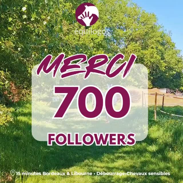 Vous êtes désormais 700 à nous suivre. Faites grandir le mouvement equilogos.com !
Débourrage, chevaux sensibles, équitation bienveillante gironde et dordogne. À bientôt !