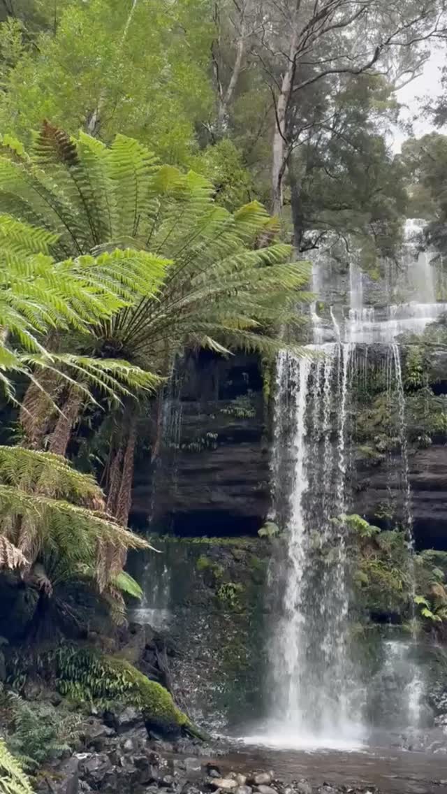It doesn’t get much more soothing than this 🌿💧
Located within Mount Field National Park, Russell Falls is one of Tasmania’s most beautiful natural escapes — surrounded by towering ferns, moss-covered forest, and the constant sound of cascading water.
Experiencing it alongside @premiertraveltasmania made it even more special, offering a deeper connection to Tasmania’s landscapes and quieter corners ✨
#Tasmania #RussellFalls #TasmaniaTravel #JourneySouthTravel #NatureEscape #SlowTravel #LuxuryTravel #TravelTasmania #MtFieldNationalPark #AustraliaTravel