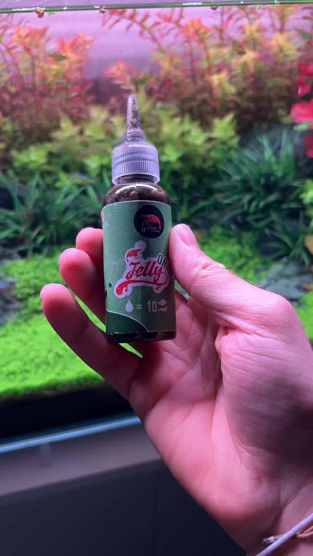 🇫🇷 Découvrez les GioiaShrimp ! 🦐
Vous souhaitez innover et diversifier la nourriture pour vos crevettes ? Passez au GioiaJelly, notre formule artisanale française unique. ✨
Une texture innovante à verser directement dans le bac : elle se dépose sur le sol pour offrir à vos crevettes tous les nutriments essentiels à leur croissance et à leurs couleurs.
🛍️ Où nous trouver ? Directement sur internet ou aussi disponible dans vos magasins Animalis, Truffaut et Botanic partout en France ! 📦
#shrimp #nanotank #aquarium