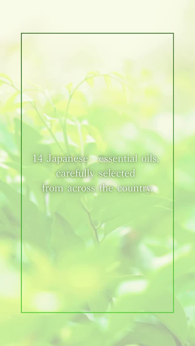Fourteen types of Japanese essential oils, carefully selected from across the country. From the snowy forests of Hokkaido to the sun-drenched orchards of Kochi, the rich essence of Japan’s nature is concentrated in every drop. Discover a special fragrance that resonates with your heart.
We carry a selection of Japanese essential oils at our online shop. Please take a look at the link in the profile to find an aroma just for you!✨
#JapaneseEssentialOil #aroma #honoka #japantravel #igersaroma