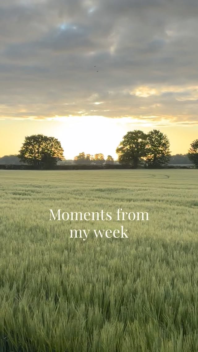 👩🏽🌾 A few moments from my week 🌿
Lots of blooms, the Chelsea chop, and planting a beautiful row of clematis for a client.
There’s also been time spent preparing and planning borders ready for the season ahead at clients gardens.
🥰 Along with my first visit to the Chelsea Flower Show for plenty of inspiration ✨
And amongst it all… taking a moment to appreciate World Bee Day and the importance of the pollinators that make so much of this possible 🐝
This one’s been a week to remember 🌿
What’s been the highlight of your week?
#thegranarygarden #chelseaflowershow #chelseachop #worldbeeday #gardendesign