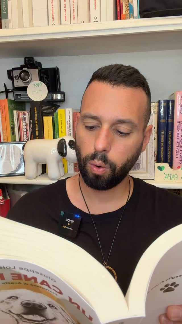 Continua il format dedicato al mio libro Un cane felice 📖🐾
Un cane felice, edito da @giacovelli_editore con la prefazione di Angelo Vaira e la post fazione di @alberto_ferrarini_ è disponibile in tutte le librerie e piattaforme digitali!
Oggi vi leggo una piccola parte del capitolo 7: “Rami” 🌿
Parlando di un tema fondamentale: lo stress nel cane.
Spesso un comportamento che definiamo “sbagliato” è semplicemente il modo con cui il cane ci sta comunicando un disagio.
Comprendere prima di giudicare cambia completamente la relazione. ✨
#uncanefelice #stressnelcane #cinofilia #educazionecinofila #canifelici