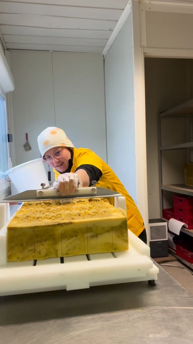 Moi et mes différentes étiquettes une galère mais c’est pour votre plaisir avec des super coffrets 😍 #savon #savonnerie #lait #agriculture #laitdevache