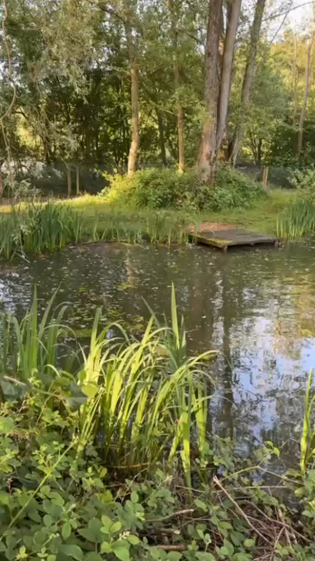 🚫 Bank Holiday Monday – CLOSED 🚫
This morning’s inspection 🐟☀️
We’re usually open on Bank Holiday Mondays, however this Monday the Coarse Lake will be closed due to the carp spawning in the beautiful warm weather. ☀️🐟
#spawning #anglerlife #nature #spawn #coarselake