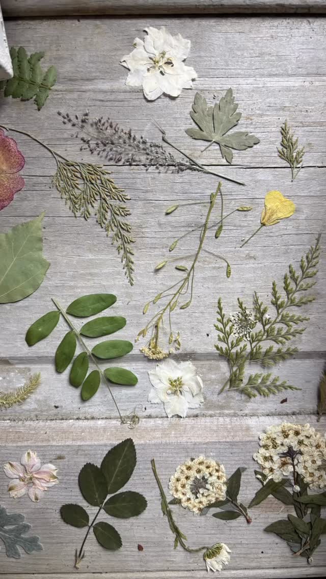 Rainy day Horticulture Workshops make the cozy Garden Cabin even more delightful. Pressed Flower fun for a sweet 16's Kitty Cat Cafe & Craft.
Want to book your own event? Reach out or visit the website.