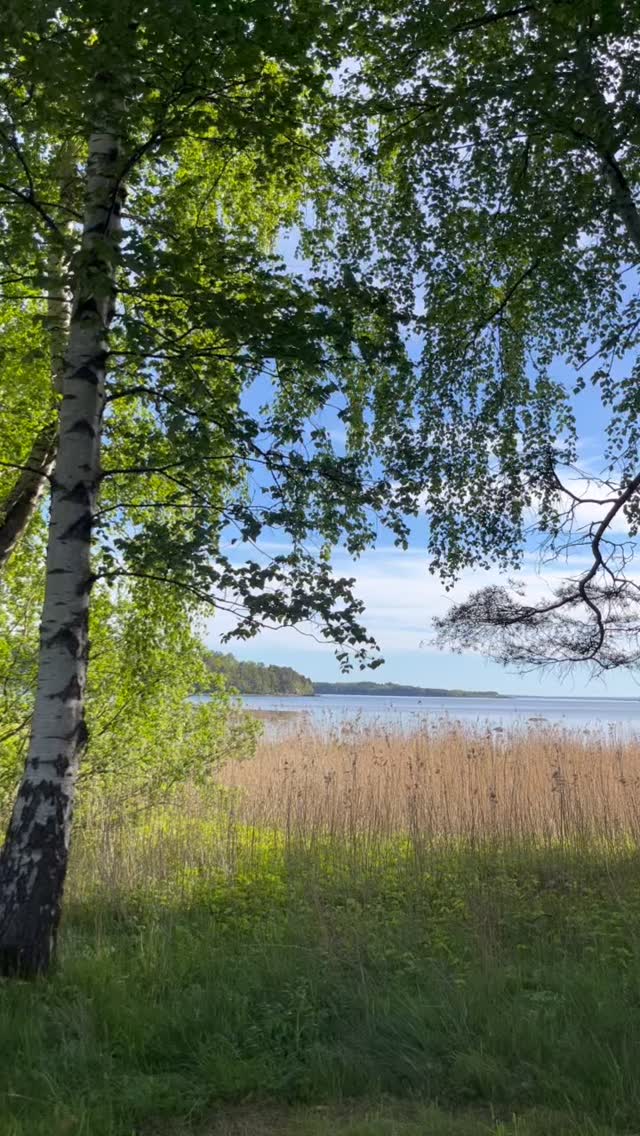 God 1.pinsedag 🌿🌱☀️
#fjærholmen #morgenstund #kaffepåsvaberget #godpinse #morgenbad