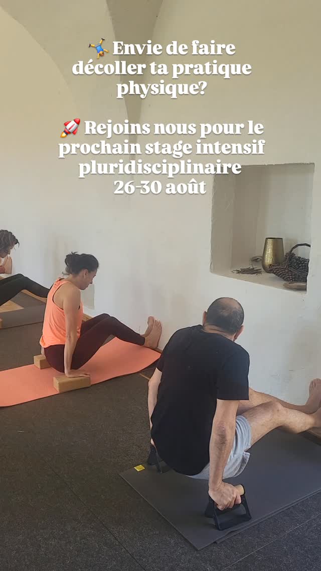 🚀 Envie de faire décoller ta pratique physique?
.
➡️Rejoins nous pour un stage pluridisciplinaire au Moulin d'Ozon en Ardèche du 26 au 30 août 2026.
.
🌶Programme pimenté avec 25 heures de pratique :
.
🧘♂️ - Yoga
🐒 - Mobilité
🤸♂️ - Handstand
🥋 - Arts martiaux
💪 - Callisthénie
.
🕊À partir de 737€ en tarif early bird
.
Toutes les infos dans ma bio
.
➡️Infos et inscription:
.
Marc@martial-yoga.com
07 55 67 50 45