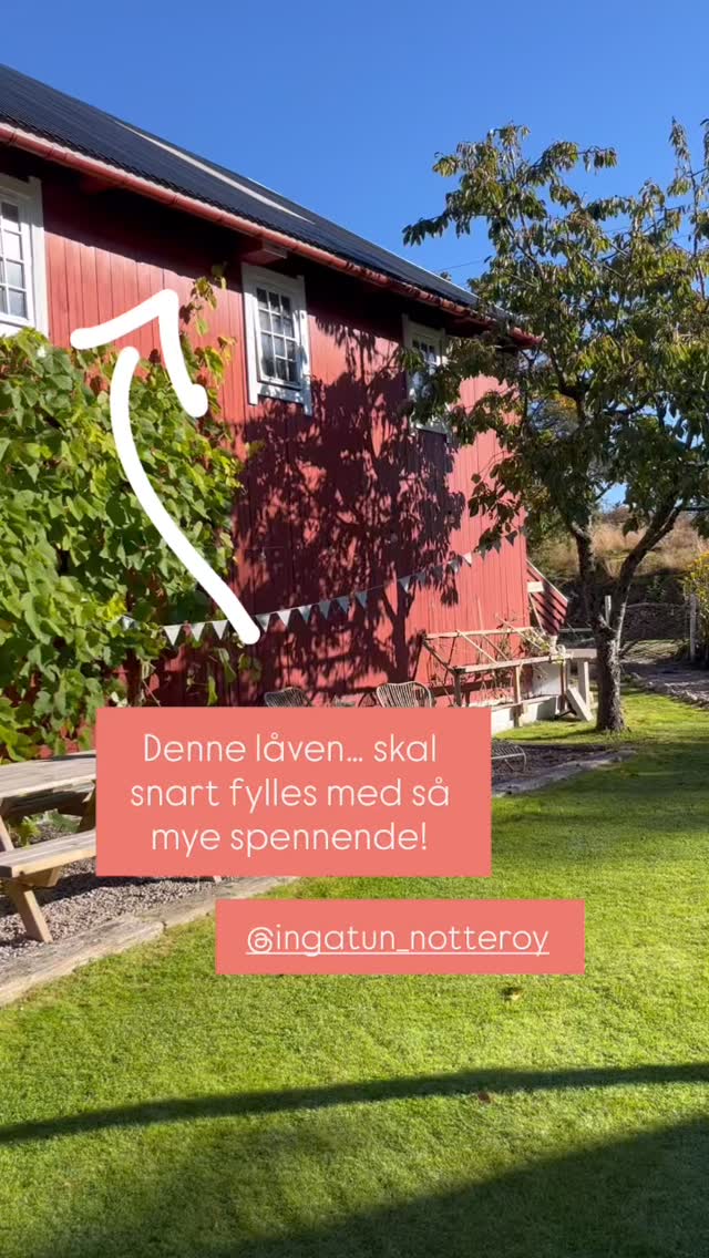Vi gleder oss masse til å ønske velkommen i den fine låven på Ingatun ☀️🏡
.
Søndag 7.juni arrangerer vi SOMMERMARKED 🍀kl 11-15
Hvor: Tenvikveien 17, Nøtterøy
.
Vi fyller låven med spennende utstillere! Her blir det keramikk, akvareller, gårdsmat, blomster, arbeidsklær, bruk-klær, asparges, yoga og velvære, interiør, antikk, kranser, strikk, hjemmelaget blomstergjødsel mm…
.
Kafé i hagen med kaffe & bakst! ☕️🥨
.
Vi lover skikkelig gårdshygge og god stemning 🍀🍀 håper å se deg!
.
@hvasserasparges @frebergs.no @florworks.as @grovesle @gryskeramikk @konglerogkvist @aapenthav @karikafjeld @einar.m.schistad @ingatun_notteroy
.
#sommermarked #velkommentilingatun #nøtterøy #lokaltogkreeativt #høyhyggefaktor