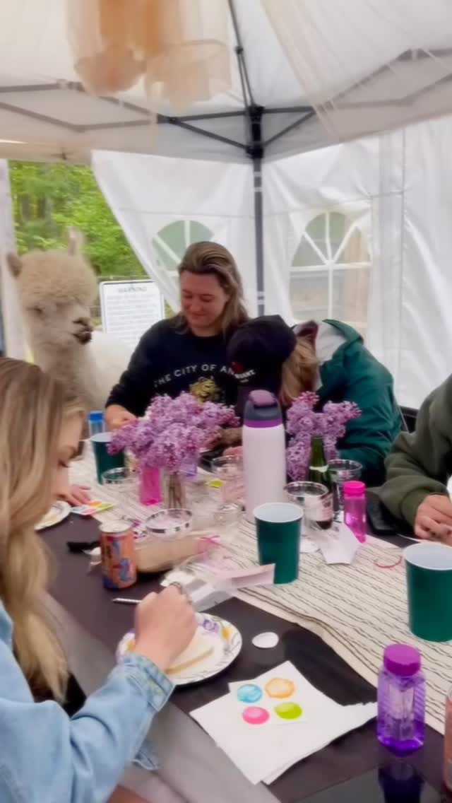 Fun with friends looks like this. 🦙🍪
• alpaca therapy
• paint cookies by @sweet_crumpets_micro_bakery
• laugh way too loud
Pure joy. @sweet_crumpets_micro_bakery made these hand-iced alpaca cookies to paint. No art skills required, I promise.
To create your own special alpaca experience. Message me.
#igersme #mainelife #visitmaine #boothbayharbor #westportisland