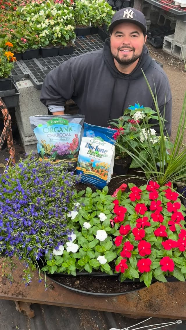 Let’s make a Red, White & Blue planter this Memorial Day Weekend for the town of Harrison! 🇺🇸
We’ve been planting these inserts for the town of Harrison for the last handful of years that are placed around town hall and other landmarks throughout the town. This year we get to make them American theme for our 250th birthday!
#northarlingtonnj #harrisonnj #bergencountynj #hudsoncountynj #america