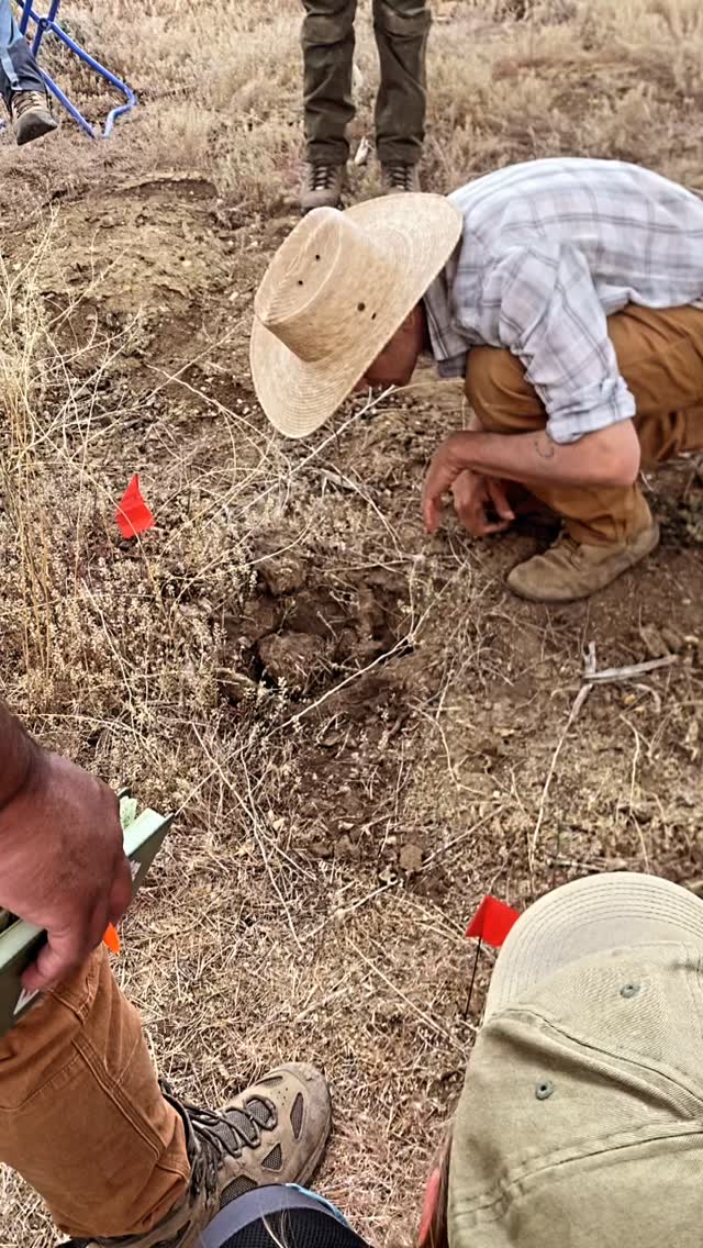 Casey McFarland breaks down the details of a badger dig, comparing it to bear and wild canid digs during Day II of our most recent Southwest Colorado Wildlife Track & Sign Certification.
#wildlife #fourcornerswildlife #animals #wildlifetracking #colorado
