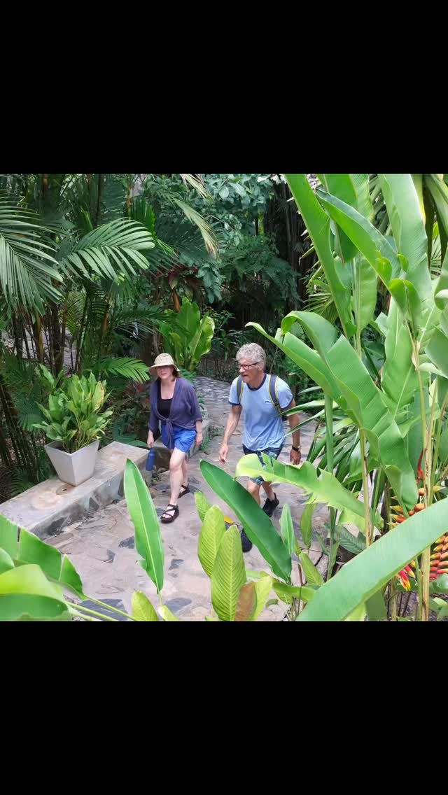 Now I’m home after three amazing weeks in Thailand, I’ve been looking back on what an incredible trip it was… and just how easy it was to do a multi-centre adventure.
Across 8 destinations and 9 hotels, every stop offered something completely different. From unforgettable experiences at Elephant Hills, to the peaceful hidden gem of Khanom at Aava Resort & Spa, it really showcased so many different sides of Thailand 🐘🌴
Centara Villas Phi Phi Island had the most incredible views, Outrigger Khao Lak was perfect for total beach relaxation, and Haadtien Beach Resort was amazing for snorkelling straight from the beach 🐠 Every destination has its own unique charm, and combining a few together makes for such an unforgettable trip ❤️
I’m pretty sure I won’t leave it another 36 years before I visit again 😉
