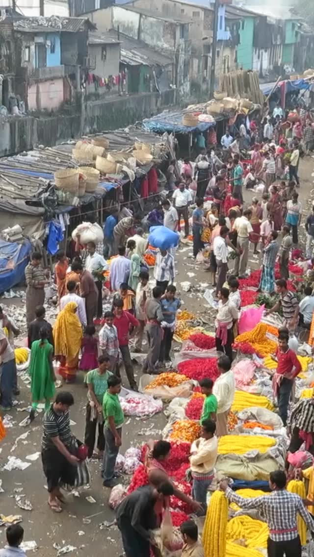 Kolkata adventures to the Mullik Ghat markets are the inspiration for my current series of blankets.
Where have you visited that would return to or inspire you to create artwork from?
You can read all about my fabulous time in Kolkata and a sneak peek into my studio in my latest E-Zine. Link in Bio.
#artisanmade #handwovenblanket #handweaving #kolkatablogger #offthebeatentrack
