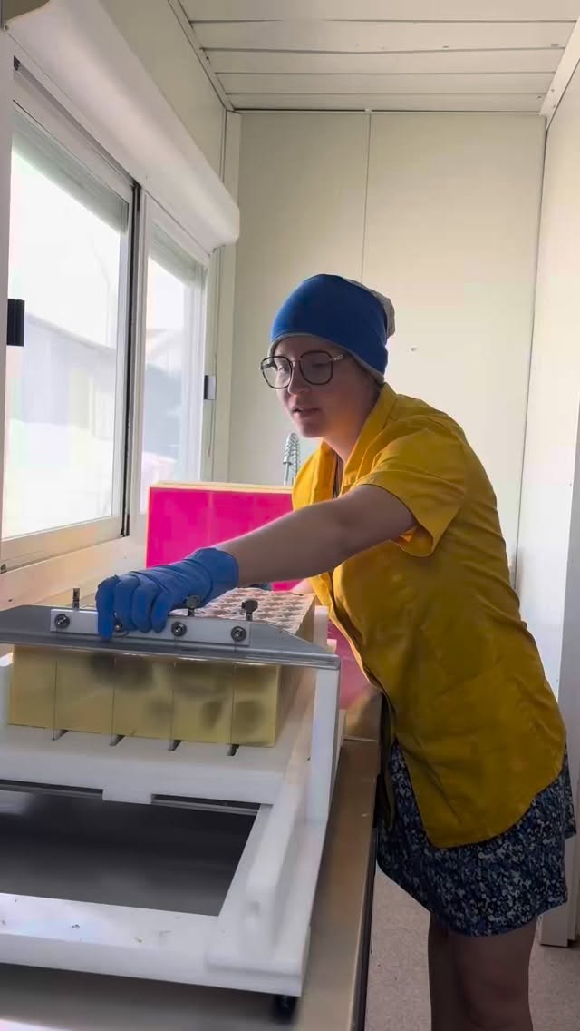 Pourquoi genrer un savon ba juste parce que j’avais envie, ça n’empêche pas les femmes de l’utiliser juste ça indique que c’est une odeur masculine. Et aussi je fais ce que je veux 😂 #savon #savonnerie #lait #agriculture #laitdevache