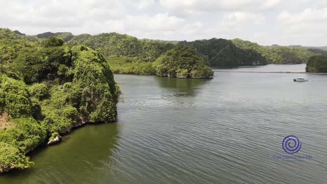 An inspiring experience.
Visit the National Park Los Haitises from #Samana on board our Luxury boat.
📍 Start from a private Marina and Yacht Club
🍷 Drinks of your choice on board (options)
🍽️ Lunch or snacks on board (options)
Our crew has a total of 4 person to attend you (captain, mariner, tourguide and barman).
Do not wait and book your experience with us.
Get inspired.
#luxuryboat #lasterrenas #lifestyle #dominicanrepublic
