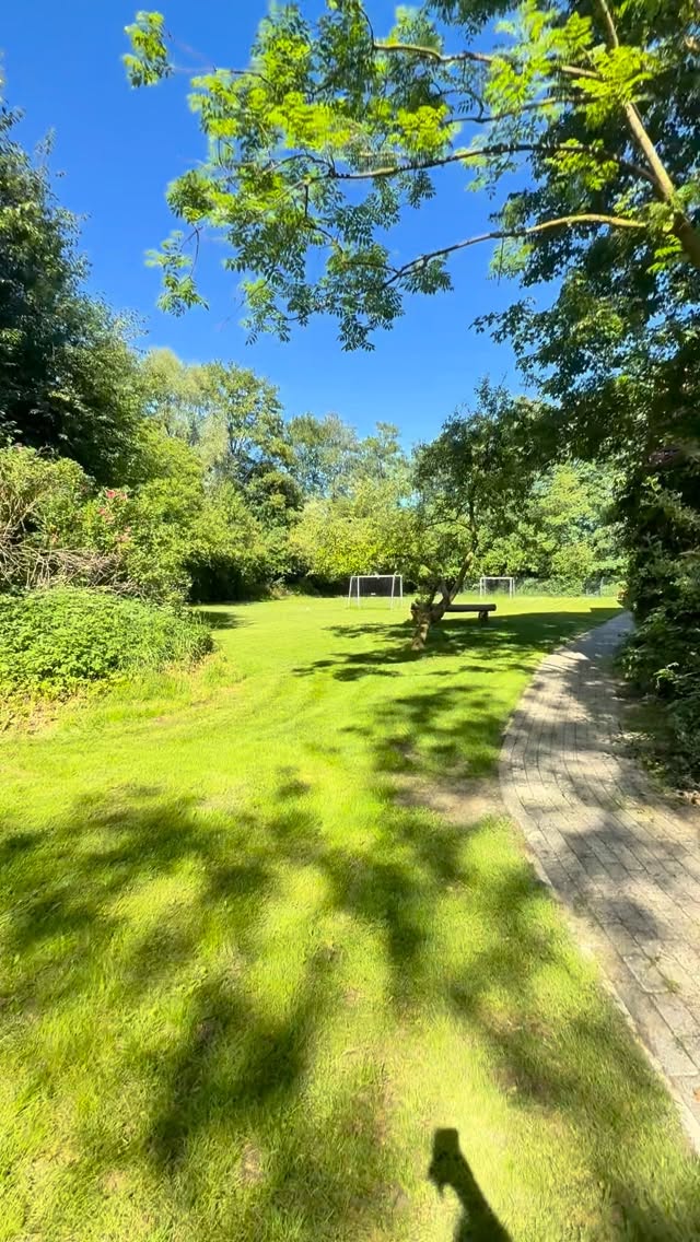Lust auf einen Rundgang über unser Außengelände? 😍
#kinderundjugendhilfe #sichererort #rueckenwindburlage #traumapädagogik #jugendhilfe