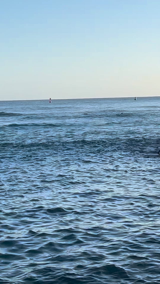 Kewalos, Wed., 5/27/26 about 6:30 PM. Heading into my favorite season, summer! With those long days love that we can surf till the sun goes down. 🌅
My son’s last day of school and for many this week kicks off summer break. Today waves are about 1-2 ft. There’s a monster south swell heading our way towards the end of this week. I hope everyone has a good start to their summer and prayers for some fun summer south swells! 🤙🏽🩵🙏🏽🩵
#kewalos #kewalobasin #dapoint #hawaiisunset #hawaiisurf