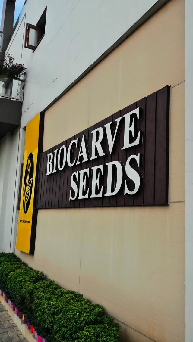 From tiny seeds to thriving blooms 🌱✨
A little glimpse into the vibe, hustle, passion, and beauty behind Biocarve.
Every tray, every flower, every plant has a story — and this is what plant lovers truly live for 💚
If gardening makes your soul happy, this one’s for you.
Watch till the end, feel the vibe, and share it with someone who dreams in green 🌼🪴
#BiocarveSeeds #GardeningLove #PlantLovers #GardenVibes #Seedlings FlowerLovers GreenLife