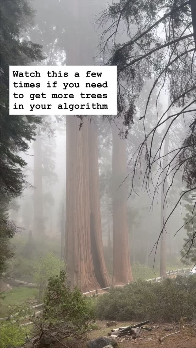 Original audio by DJ Earth. 🌎#sequoianationalpark #kingscanyonnationalpark #nationalparks #publiclands #yournationalparks