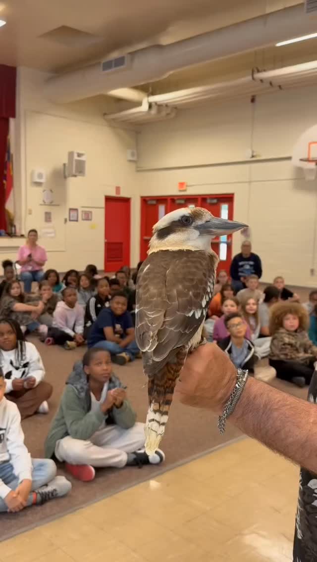Veja a sintonia incrível com o pássaro 🐦🎶🥹
Durante a apresentação, o pássaro encantou uma sala cheia de crianças ❤️✨
🙏🏻 Gente, não esquece de deixar o like 👍🏻
❤️ SIGA para mais vídeos de momentos incríveis
E aí, você também ficou encantado?! 😊
SIGA NOSSA PÁGINA 🙊🙉🙈
DEIXE SEU LIKE 👍🏻👍🏻👍🏻