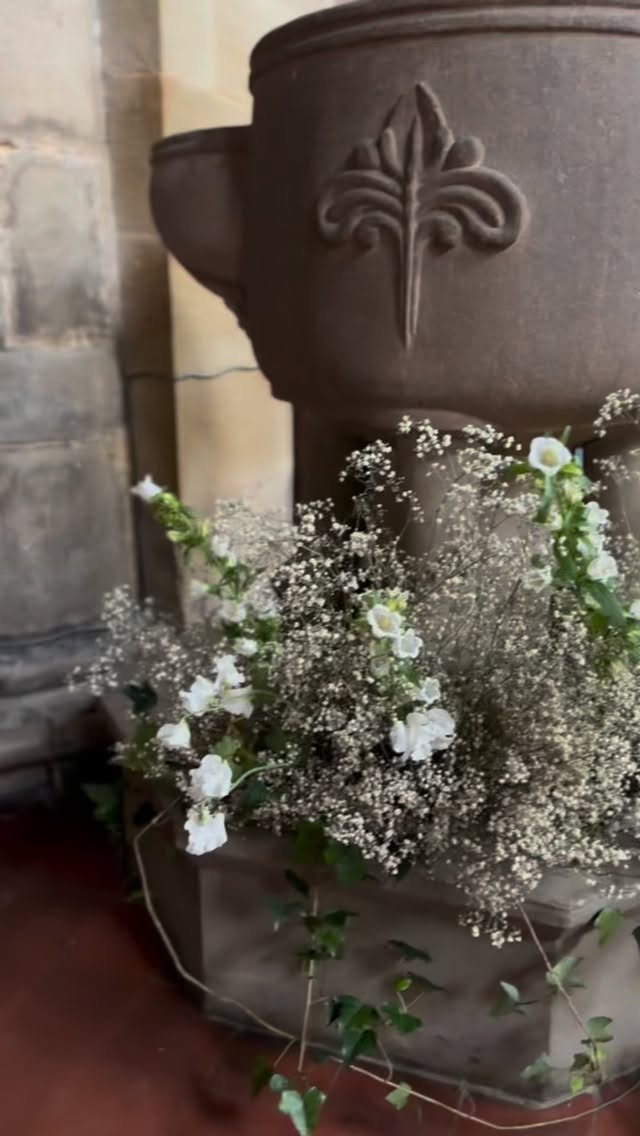 Nestled at the base of the church font, this arrangement was designed with a wild, ethereal softness in mind 🤍
Delicate white sweet peas and campanula dance through meadowy textures, while cascading ivy trails beneath to create that naturally gathered, romantic feeling. A floral moment that feels both abundant and effortless. ✨
