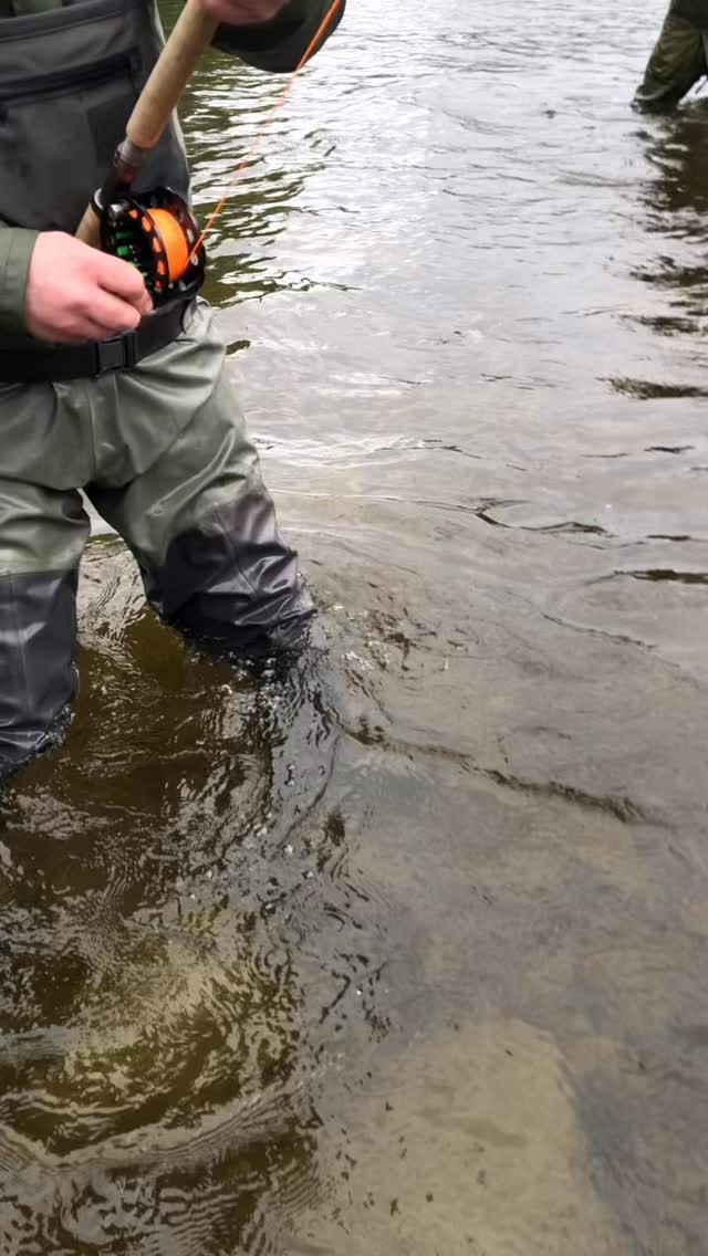 Big catch for Hellek! Discover more at kanalholen.com
#salmonfishing #flyfishing #orkla #norway #fishinglodge