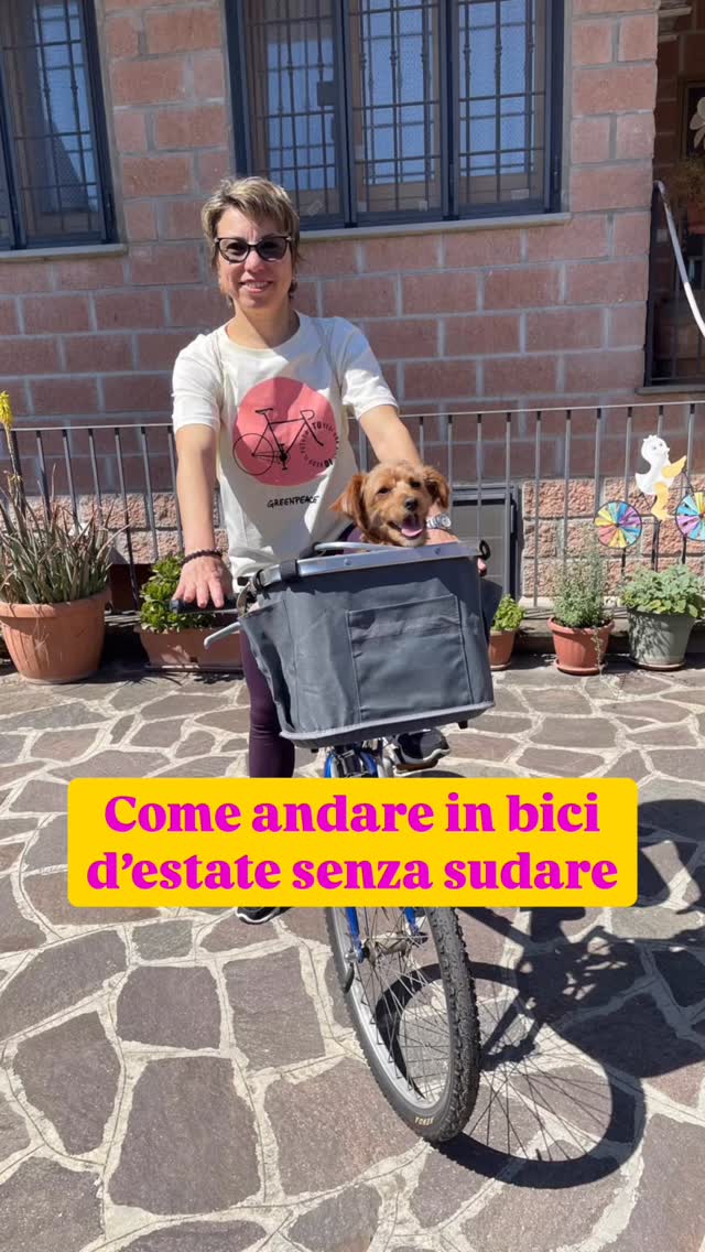 Come andare in bici d’estate senza sudare: chiedere ad Antonietta 🚲🐶😄
Tra panorama, aria nei capelli e zero fatica… direi che ha trovato il metodo perfetto. 🌿
A volte dovremmo imparare qualcosa in più dagli animali: godersi il momento, l’aria aperta e le cose semplici. 💛
✨ Seguimi per altri contenuti su benessere, natura, yoga e vita vera.
#benessereolistico #naturaequilibrio #estate #cane #doglover