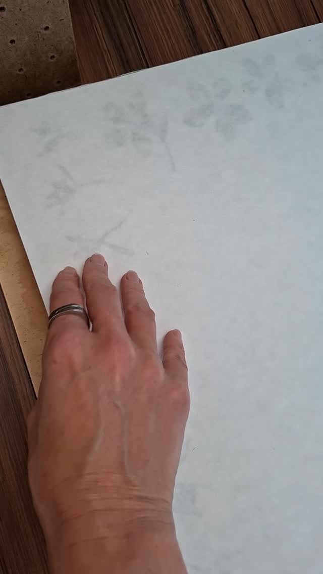 Dnešní rychlá kontrola lisu...