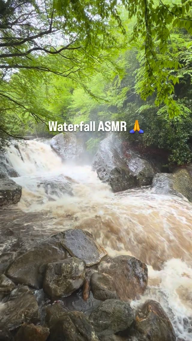 Multi-waterfall ASMR on a rainy day in the Blue Ridge Mountains 💦🩵💦
🔊SOUND UP🔊