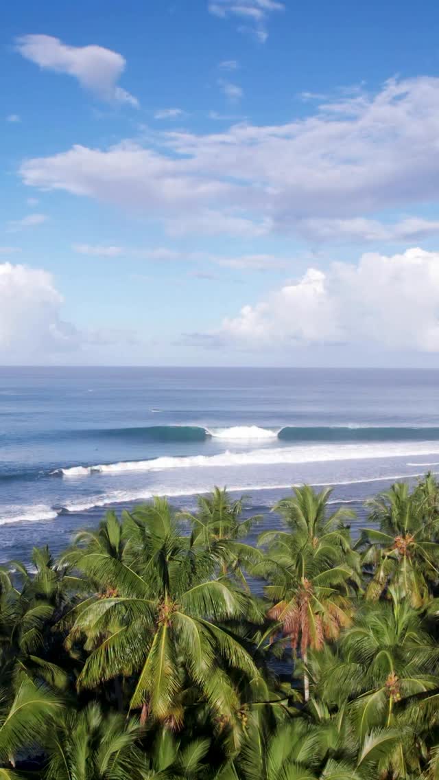 One of those days up north.
Yesterday was tapped in South Sumatra.
You surf, we do the rest.