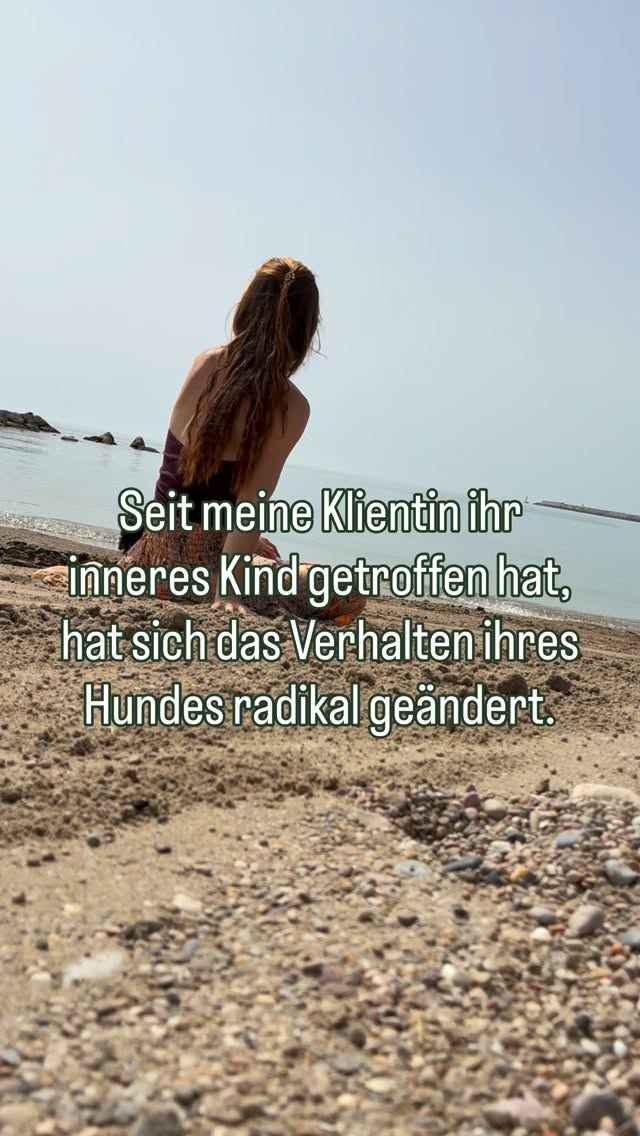 Der Hund meiner Klientin war IMMER angespannt. Immer auf der Hut. Wenn du selber einen Hund hast, weißt du wie anstrengend das. Und nicht nur das. Er wollte sie beschützen und kontrollieren. Entspanntes spazieren gehen im Sonnenuntergang? Nur im Film. Eher ein Kräftemessen und Spießrutenlauf um ja keinen anderen Leuten zu begegnen.
Im Laufe meiner Begleitung haben wir festgestellt, dass ihr Hund gar nicht das Problem hat, sondern ein viel tieferes Thema aufzeigt.
Das Thema Sicherheit. Und zwar nicht seine Sicherheit sondern die meiner Klientin. Innerlich. Nicht nach außen hin. Da war sie immer sehr souverän. Aber innen sah das ganz anders aus.
Wir haben unter anderem ihr inneres Kind getroffen und herausgefunden woher die innere Unsicherheit kommt und konnten schon viel mehr innere Sicherheit aufbauen.
Und jetzt ein paar Wochen später?
Ihrem Hund ist klar, dass sie der Chef ist und für innere und äußere Sicherheit sorgt. Hund viel entspannter und der entspannte Spaziergang im Sonnenuntergang in Sichtweite.
Oft wissen wir gar nicht, wo das eigentliche Problem liegt. Und wenn du merkst, dass dein Zusammenleben mit deinem Hund irgendwie nicht so läuft wie du es dir vorgestellt hast und nur noch mehr trainieren auch nichts taugt, mach doch mal meinen kostenfreien Self CheckIn um eine erste Einordnung zu eurer Situation zu bekommen.
(Du kannst ihn dir ein bisschen wie die Selbsttests in der Bravo früher vorstellen. Nur besser ✨)
Kommentiere „Check“ und ich schicke ihn dir 💌
Hund-Mensch-Beziehung
Hundtraining anders
Alternatives Hundetraining
Problem Hund
Innere Arbeit
Innere Kind Arbeit
Hundemama Mental load
Self Check