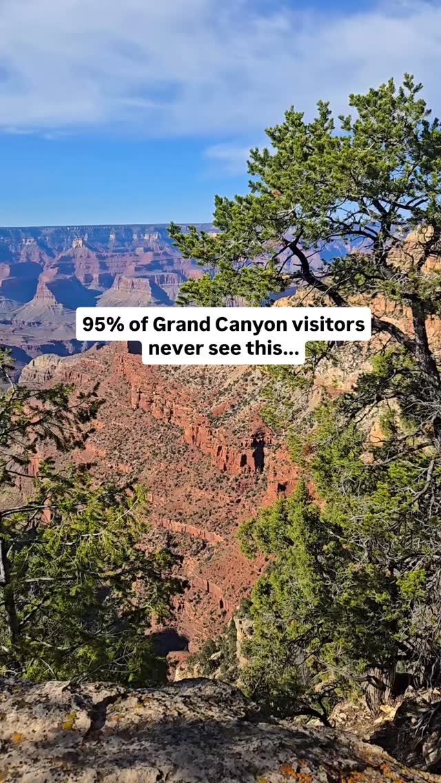 6.5 Million visitors a year and only 5% actually hike below the Rim.
You haven't experienced the Grand Canyon until you see it like this🤯
Don't be the person who drives 4hr just to look at for 20min, do this hike instead⏬️
South Kaibab Trail to Cedar Ridge📍
🥾3.4miles
⛰️1181 elevation gain
🚻 Restrooms at trailhead
🐶 No dogs
🅿️ Must by NP day pass
🔴 Rated Hard
Visit Littleredtravels.com for the full hike details!💻
Hiking - Arizona - national park - travel - nature - outdoors - photography - inspo