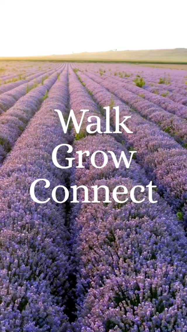 I am so excited for the next Walk, Grow & Connect and it’s going to be a really special one. The last hurrah before I head off to Bali for the summer! 🌿✨
Years ago, visiting a lavender field was one of those memories that just stayed with me forever. The smell, the colour, the energy of that beautiful plant… lavender is something truly special... used for centuries in remedies and known for its powerful, calming properties. I just knew I had to experience it again, and doing it with a group of awesome women felt like the perfect way.
Saturday 13th June 💜
We’ll meet at London Victoria station at 8.15am, jump on the 8.30am Southern train to Sutton, then hop on the S1 bus to Banstead — arriving in time for a 9.30am brunch. We’ll be back in London by 1.30pm.
Here’s what’s in store:
🌸 Brunch at Chai Cafe in Banstead - choose from a set menu with your choice of coffee @cafe.chai
💜 A mindful walk through the stunning lavender fields at Mayfield Lavender Farm, connecting with an incredible bunch of women.
📓 A little journaling in the sunshine
Getting out of London, discovering somewhere beautiful and seeing the lavender in full bloom… I cannot wait. (Sunshine, please co-operate! ☀️🙏)
Spaces are LIMITED - drop LAVENDER in the comments or send me a message and I’ll send you all the details or simply head to link in my bio to book a ticket.
Come walk, grow & connect. 💜