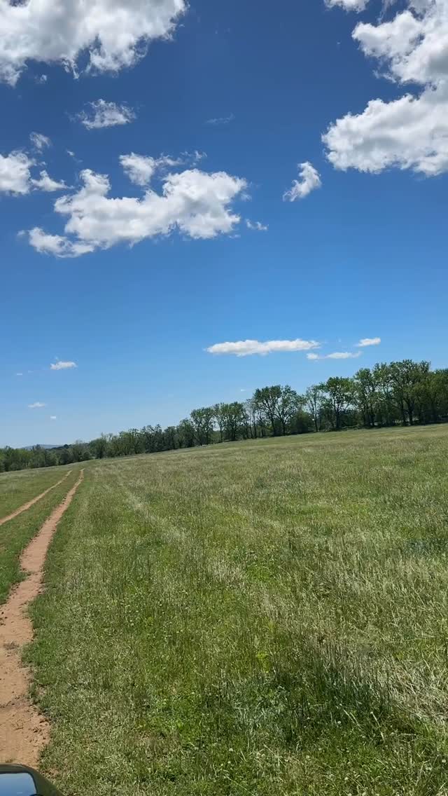 After days of rain (6+ inches!) we finally get some well deserved sunshine 🌞