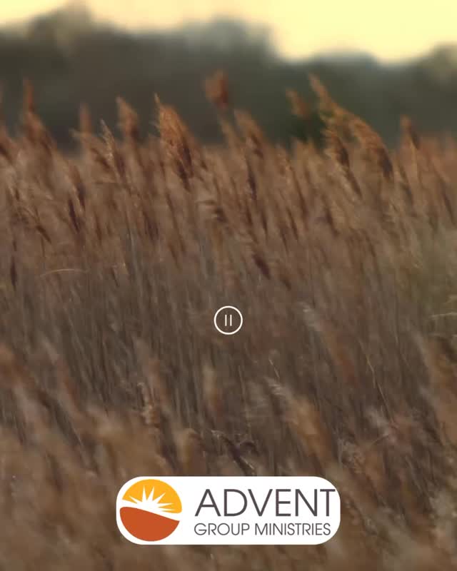 Hope is still here.
Even in difficult seasons, hope can be quiet, but it doesn’t disappear. It shows up in support, in care, and in the people who choose to show up for one another.
At Advent Group Ministries, we are committed to being part of that hope.
#HopeGrowsHere #MentalHealthMatters #CommunityWellness #AdventGroupMinistries