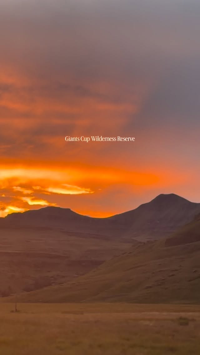 POV: You finally booked the mountain escape you’ve been dreaming about 🏔️✨
✔️ Untouched wilderness
✔️ Incredible hiking trails
✔️ Complete peace and privacy
✔️ Views that don’t feel real
Welcome to Giants Cup Wilderness Reserve 🍃
#drakensberg #nature #naturelovers #beautifuldestinations #beautifulsouthafrica