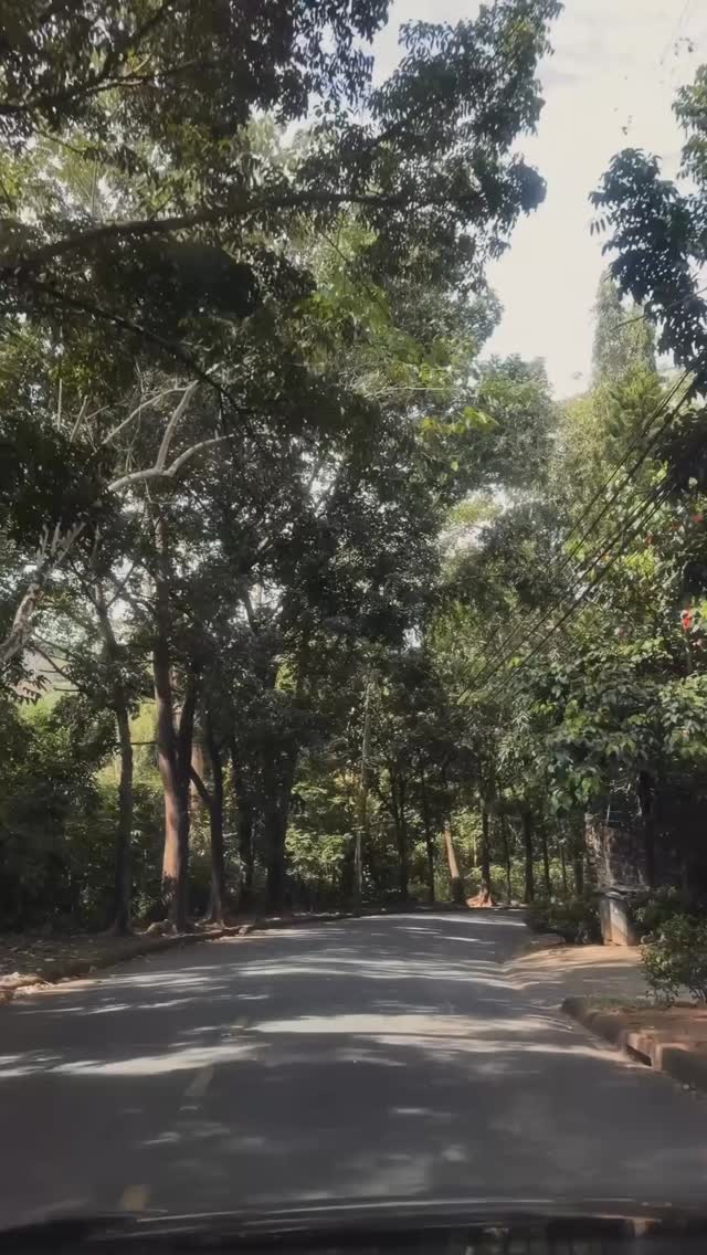 Certain daily habits can improve your mental well-being, and with consistency, you can begin to see results.
Here’s a list:
Instead of focusing on the things you dont have or are yet to achieve❌
List three things you are grateful for every morning ✅
Instead of skipping exercise ❌
Incorporate a short walk or workout into your daily routine ✅
Instead of eating junk food ❌
Choose nutritious foods that fuel your body ✅
Instead of rushing through the day ❌
Take a few minutes for mindfulness or meditation ✅
Instead of having irregular sleep patterns ❌
Aim for a consistent 7–8 hours of sleep each night ✅
Instead of scrolling through social media endlessly ❌
Read a book or listen to a podcast that interests you ✅
Instead of multitasking ❌
Focus on one task at a time to improve efficiency and reduce stress ✅
Instead of holding onto grudges ❌
Practice forgiveness to lighten your emotional load ✅
Instead of procrastinating ❌
Set small, manageable goals to stay on track ✅
Instead of isolating yourself ❌
Spend time connecting with friends and family for emotional support ✅
Note: This is not a substitute for therapy, but rather a few helpful habits that may improve your mental well-being.
#privatemirrors